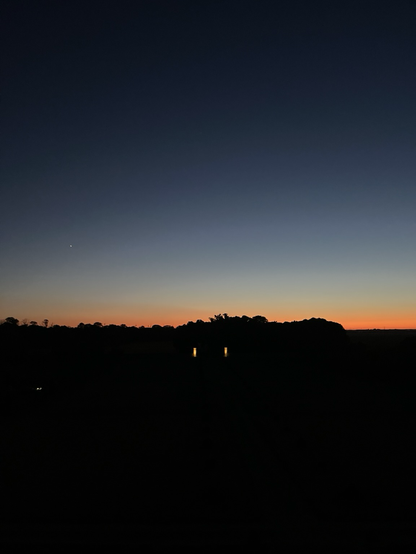 Sunset on a wood seen from the top of a tower