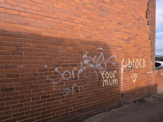 The side of a red-brick house, lit by the morning sun; a shadow is cast on the lower part of the wall by a roof on the other side of the alley.

Near the bottom are scrawled a few graffiti tags, the most recent of which are in yellow, and read:

YOUR MUM
C. BLOCK 💛