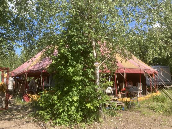 stort cirkustält inbäddat i grönska