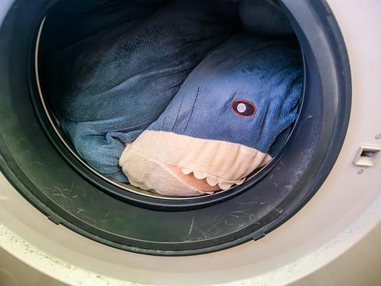 StorHaj sitzt in einer 9kg Wäschetrommel und sieht nicht gerade so aus, als ob die Türe noch zu gehen würde...