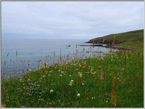 A wild flower section of grassland low in front of us. The ground drops steeply to the sea. A promontory to the right