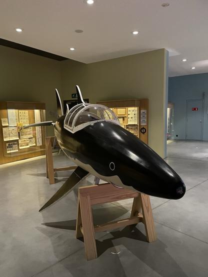 Großes Modell eines U-Boots in Haifischform, das in dem Tim-und-Struppi-Comic „Der Schatz Rackhams des Roten“ auftaucht. 

Den Hintergrund bildet ein modernes Museumsgebäude, man sieht ein paar Vitrinen an einfarbig bunt gestrichenen Eändem.