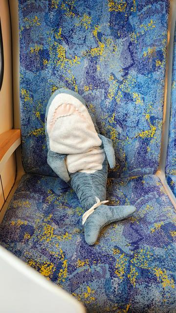 Smolhaj sitzt jetzt zufrieden in einem Zug