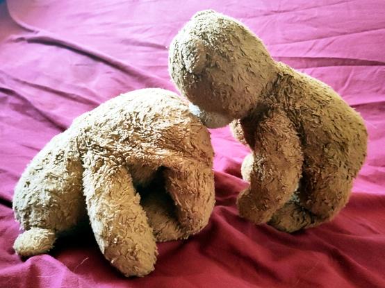 Zwei im Profil aufgenommene Plüschbären spielen »Rüssel an Schwanz«: Nilsbär hat sich wie beim Bockspringen nach vorne gekrümmt, Knut steht hinter ihm und  berührt mit seiner Schnauze den Stummelschwanz von Nilsbär.
