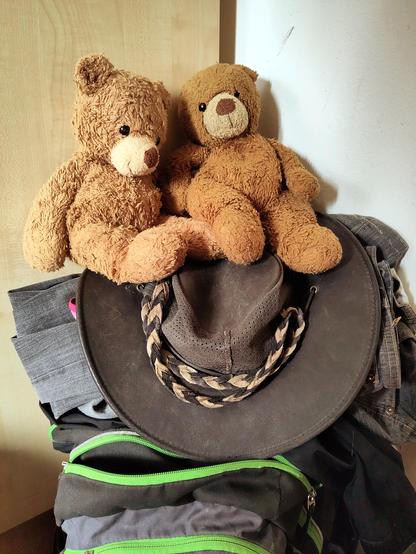 Zwei Plüschbären sitzen auf einem fast gepackten Rucksack. Botschafter Knut hat es sich nicht nehmen lassen, Bärsident Nilsbär zum Abfahrtsort zu begleiten.