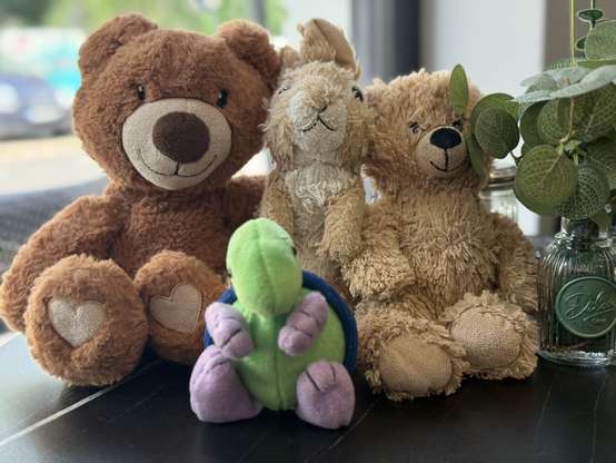 Rico, Dilo die Stoffschildkröte, Bär der Stoffhase und Hase der Stoffbär auf einem Café-Tisch