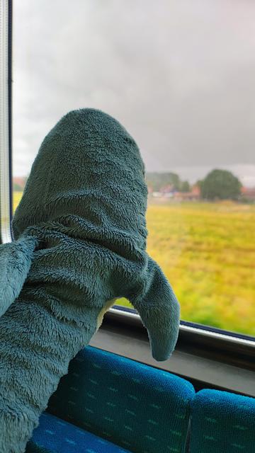 Smolhaj schaut aus einem Zug Fenster auf ein geerntetes Feld