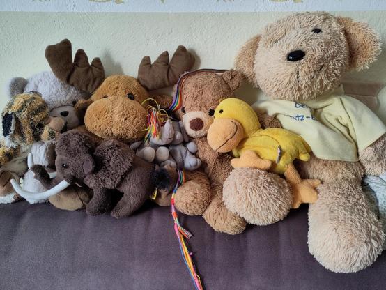 wiedervereinte Plüschherde beim Kuscheln