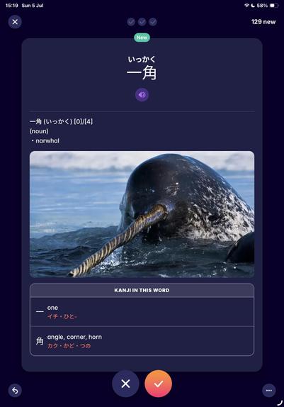 The image displays information about the Japanese word "一角" (ikkaku), meaning "narwhal." It features a photo of a narwhal, identified by its long tusk, swimming in water.
