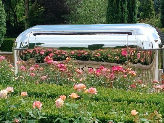 A shiny metal vending caravan reflects the roses in front of it and also a stone wall. Trees and topiary in the background