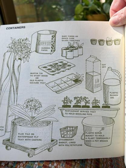 An illustration showing plant containers, including rug tubes covered with chrome paper; flue tile on waterproof ply tray with casters;, strawberry basket lined with polyethylene; a coffee can covered with “gummed paper”; baby foods or snack cans glued together; muffin tin to start seeds or old plastic ice-cube tray; restaurant service tray to hold seedling pots; plastic scrub bucket to hold a plant temporarily when a pot breaks; plastic bleach jug (with top cut off); and “lo fat” milk carton (with top cut off).