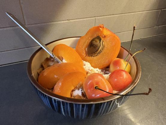 Blue bowl holding cereal, granola, a sliced apricot and rainier cherries in orange and blush pink