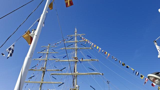 Same alt text as others. Short version: Sailors on masts. Fuller description: Young sailors dotted around high up on the ropes and cables and riggings and masts of a ship, working on the sails while moored at the Tall Ships Race in Aarhus Denmark (last week). Deep bright blue sky. Coloured bunting on the ships.