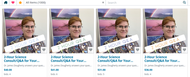 Screenshot from the Romancing the Vote auction, showing four 2-hour science consult/q&a open for bidding, at forty, forty one, thirty one and thirty six dollars each
