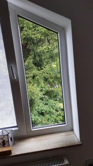 Fenster mit Blick ins Grüne