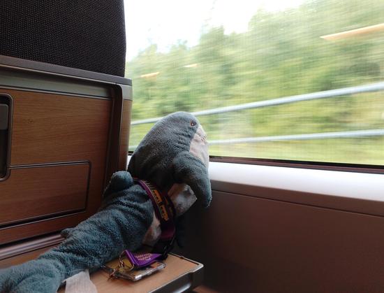 A Smollhaj, me, in an ICE, looking out of the window. The view is mainly a green blurr.