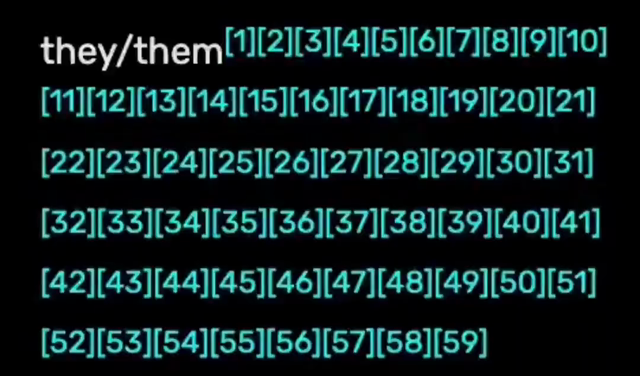 they/them with 59 sources, each source appearing one at a time, then a giant "they/them" coming up from the bottom, all of it complete with Deltarune sfx