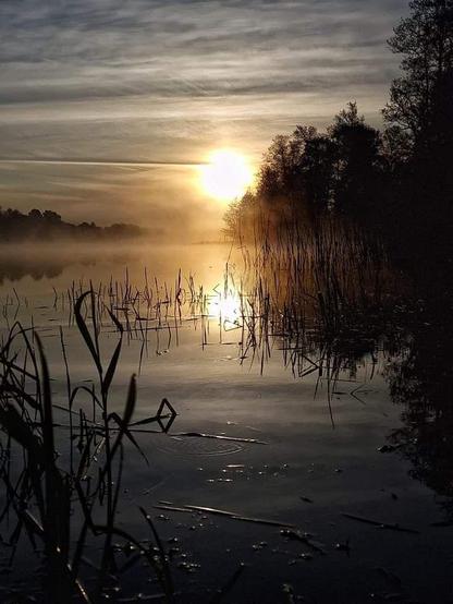 Tiefstehende Sonne im Abendnebel über einem von Bäumen und Sträuchern umgebenen Gewässer
Quelle: Pinterest ohne weitere Angaben