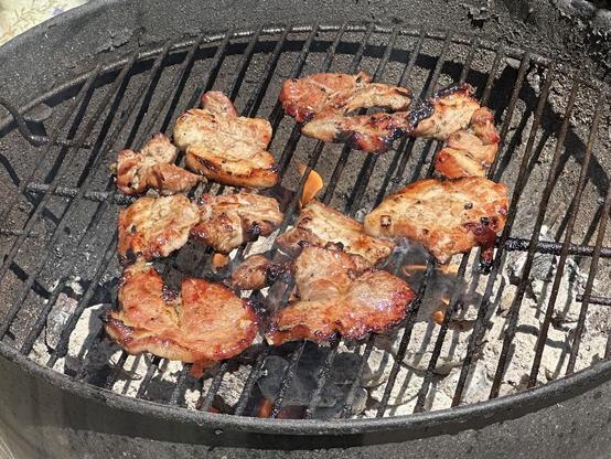 Pork on a bbq grill.