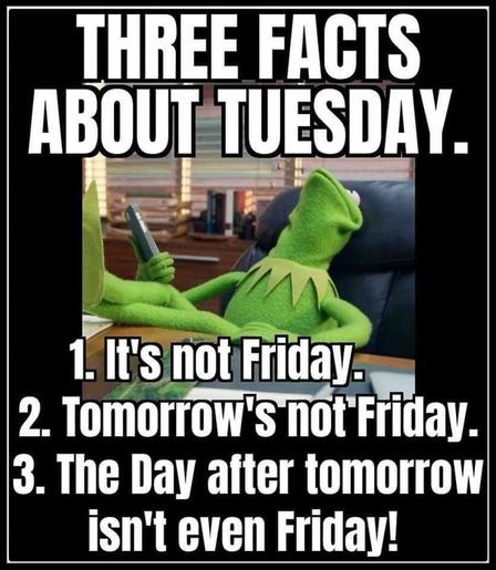 annoyed Kermit at his desk meme saying
"THREE FACTS ABOUT TUESDAY.
1. It's not Friday.
2. Tomorrow's not Friday.
3. The Day after tomorrow isn't even Friday!"