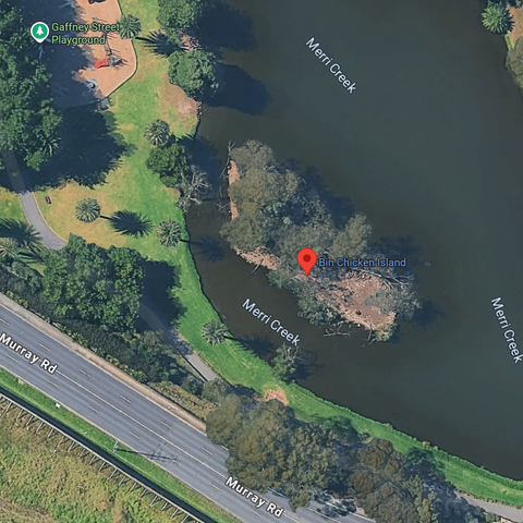 Screenshot of Google Maps, with the pin dropped on Bin Chicken Island, Coburg, Australia