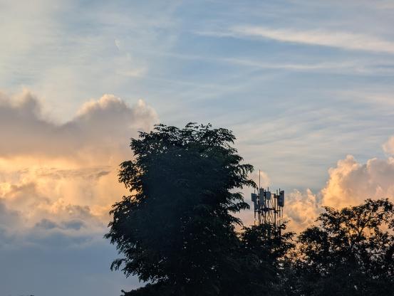 A photo of a cell tower hidden behind trees in silhouette before a blue sky, setting sun backlighting clouds in warm colours