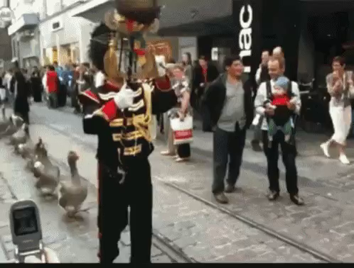 Full color animated GIF.
A fully uniformed drum major playing a glockenspiel leads a parade of geese down -- or is it up -- a street that is, statistically speaking, probably somewhere in Europe.
Pedestrians stand on the sides, some appearing to be interested, some less so.