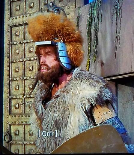 So there's a large guard looking fellow. He's wearing a dirty fur vest garment, some armor, and holding a shield. Has a shielded helmet on too but the helmet also has hair. It's like a reverse mullet helmet with metal plating for protection. Mr. Man here has a messy & thick beard, and could really benefit from seeing a dentist. Basically this guy has seen better days but is still menacing in a meth kind of way. He's standing guard in front of a castle door. Closed caption reads: [Grrr]