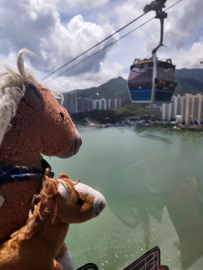 2 kleine Plüschponys gucken auf eine südchinesische Bucht mit Hochhäusern und einer Gondel der Gegenrichtung.