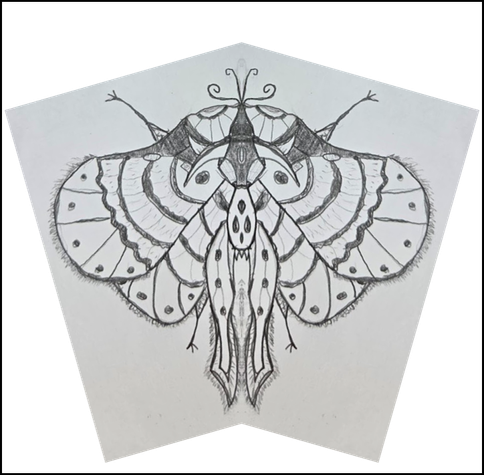 Cropped and then re-alligned to be symetrical for those who need that in their art.