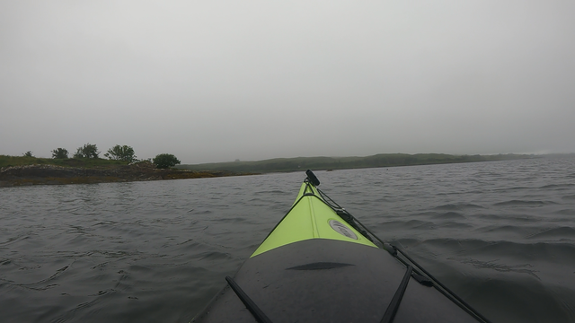 A kayak in front of an island. There is a small black dot to the right ofthe bow which is a seals head. 

There also was a pup on the beach - not visible in the picture though