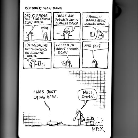 Comic titled “Reminder: Slow Down.” One fly says to another, “Did you hear that? We should slow down.” It then lists its efforts: “There are podcasts about slowing down,” “I bought books about slowing down,” “I’m following influencers on slowing down,” and “I asked AI about slowing down.” Finally, it asks, “And you?” In the last panel, the other fly is lying calmly on the ground and replies, “I was just lying here.” The first fly responds, “Well, damn.”