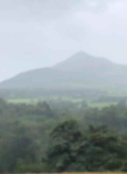 Im Hintergrund des Bildes bindet sich ein hoher Berg, davor Grüne Wiesen und direkt im Vordergrund Bäume. Das Ganze ist neblig verschwommen.