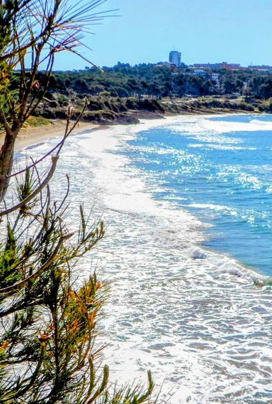 Op deze foto de middellandse zee, bij Cap Salou, met op de achtergrond nog wat bomen en rotsen