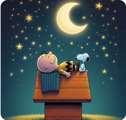 Charlie Brown okkupiert den Schlafplatz von Snoopy auf der Hundehütte. Snoopy bleibt nur ein Mini Platz zu seinen Füßen.
Über ihnen sternklarer Himmel mit einem Viertel ond.