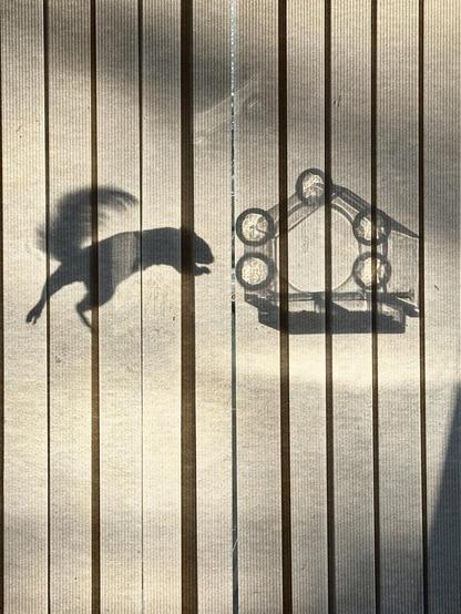 A shadow of a squirrel jumping to get food from a bird feeder
