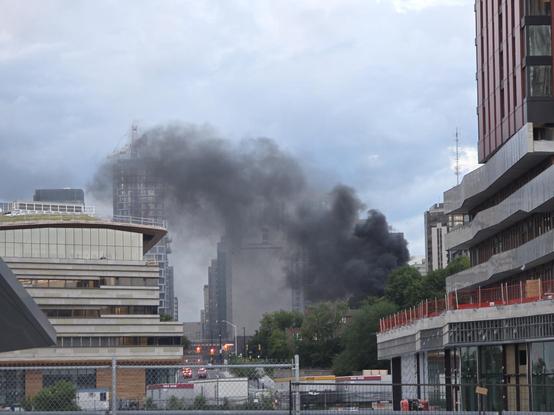 Heavy black smoke coming up above behind urban trees in the distance, framed by two buildings closer.