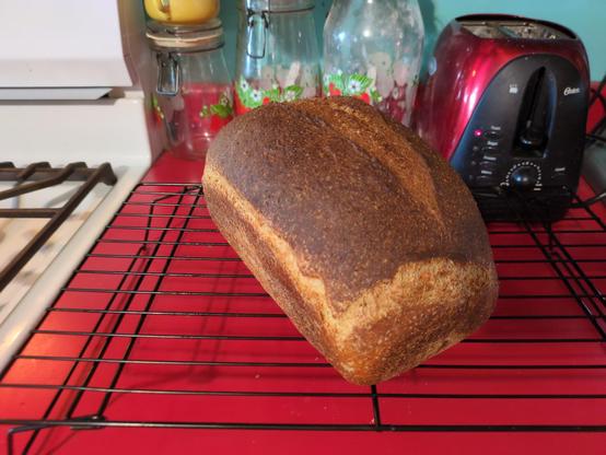 A loaf of bread on a wire cooling rack. Bread is a sandwich loaf with a score mark down the center of its top, dark brown crust. In the background, on the counter, are several canisters and a toaster.