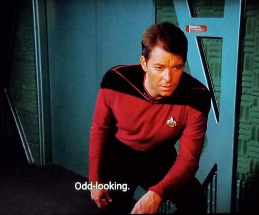 Star Trek The Next Generation scene. An early season clean shaven William T. Riker is shown investigating something. You can tell he's investigating something because he's leaning forward on one leg, and looking *intently*. I think he's in the transporter room. Closed caption reads, "Odd-looking."
