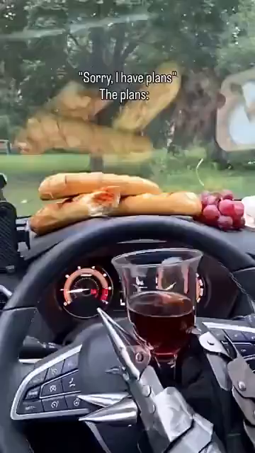 Video titled "Sorry, I have plans. The plans:"
The video shows the inside of a car, panning over to show a glass of wine, baguettes, a plate of cheese, two rats eating something, and then finally the author: a woman in a full plate of armor _badly_ singing Zaz's "Je veux"