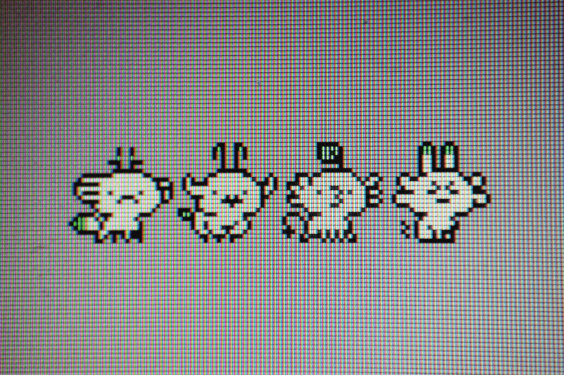 Image attached toot
