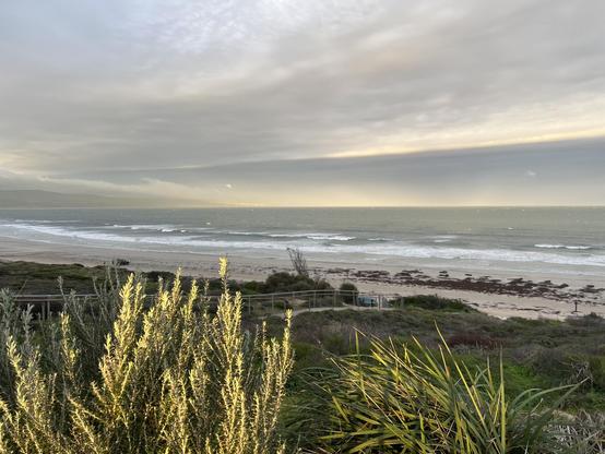 Ocean with white capped waves. Behind is a grey cloudy sky with distance sunlight. The forground is sunlit plants with a sandy beach.