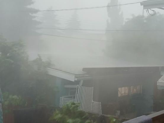 Backyard view of an extreme rain storm hitting west Edmonton.