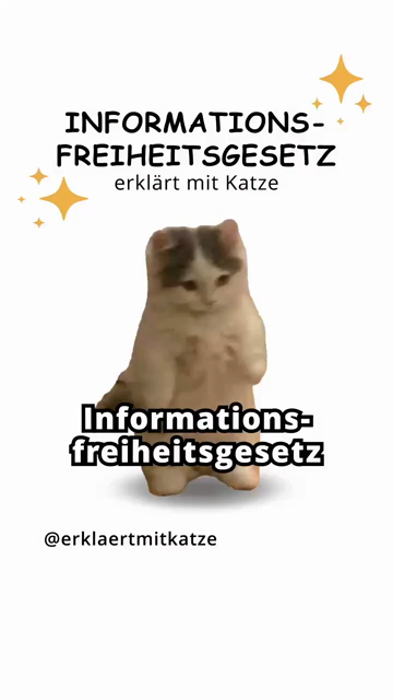 Video mit süßen Katzen!