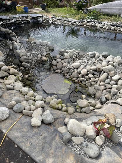 A picture of the intake bay nearly empty of water. The pond lilies are limp on the rocks and the little banana plant is limp out of the water. Pull in behind. Looks slow many rocks are out of the water.
