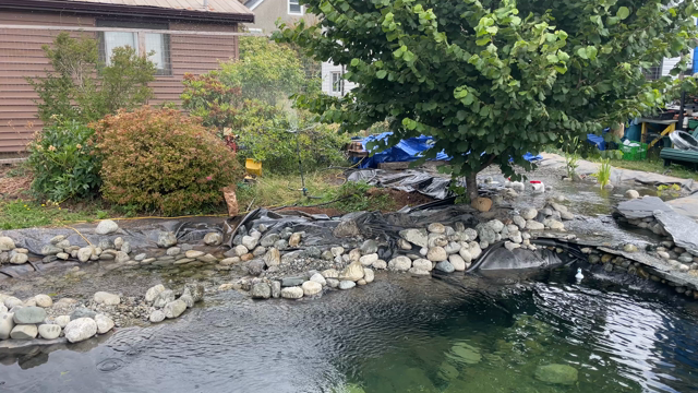 are you looking over top of the pond towards the blueberry and flower garden. There is a tall sprinkler, spreading water over top of everything.