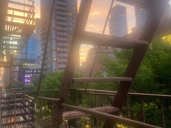 An urban sunset scene with fire escapes in the foreground, trees across the street in the middleground, and tall buildings and a pink and blue sunset in the background.