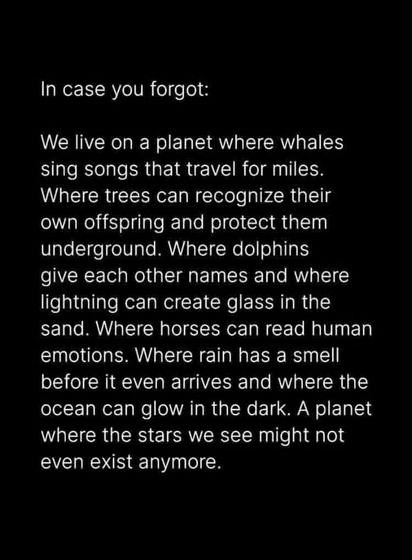 A vertical image featuring white text centered against a solid black background. The text reads verbatim: "In case you forgot:
We live on a planet where whales sing songs that travel for miles. Where trees can recognize their own offspring and protect them underground. Where dolphins give each other names and where lightning can create glass in the sand. Where horses can read human emotions. Where rain has a smell before it even arrives and where the ocean can glow in the dark. A planet where the stars we see might not even exist anymore."