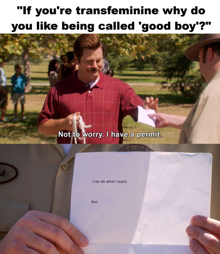 A meme. The top says, "If you're transfeminine why do you like being called 'good boy'?". Below it is a person saying, "Not to worry. I have a permit", and handing over a paper which says, "I can do what I want. - Ron"