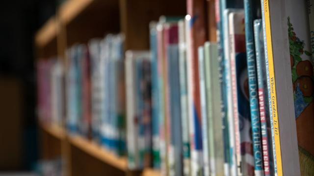17 States Are Considering Laws That Would Imprison Librarians - 17 States Are Considering Laws That Would Imprison Librarians